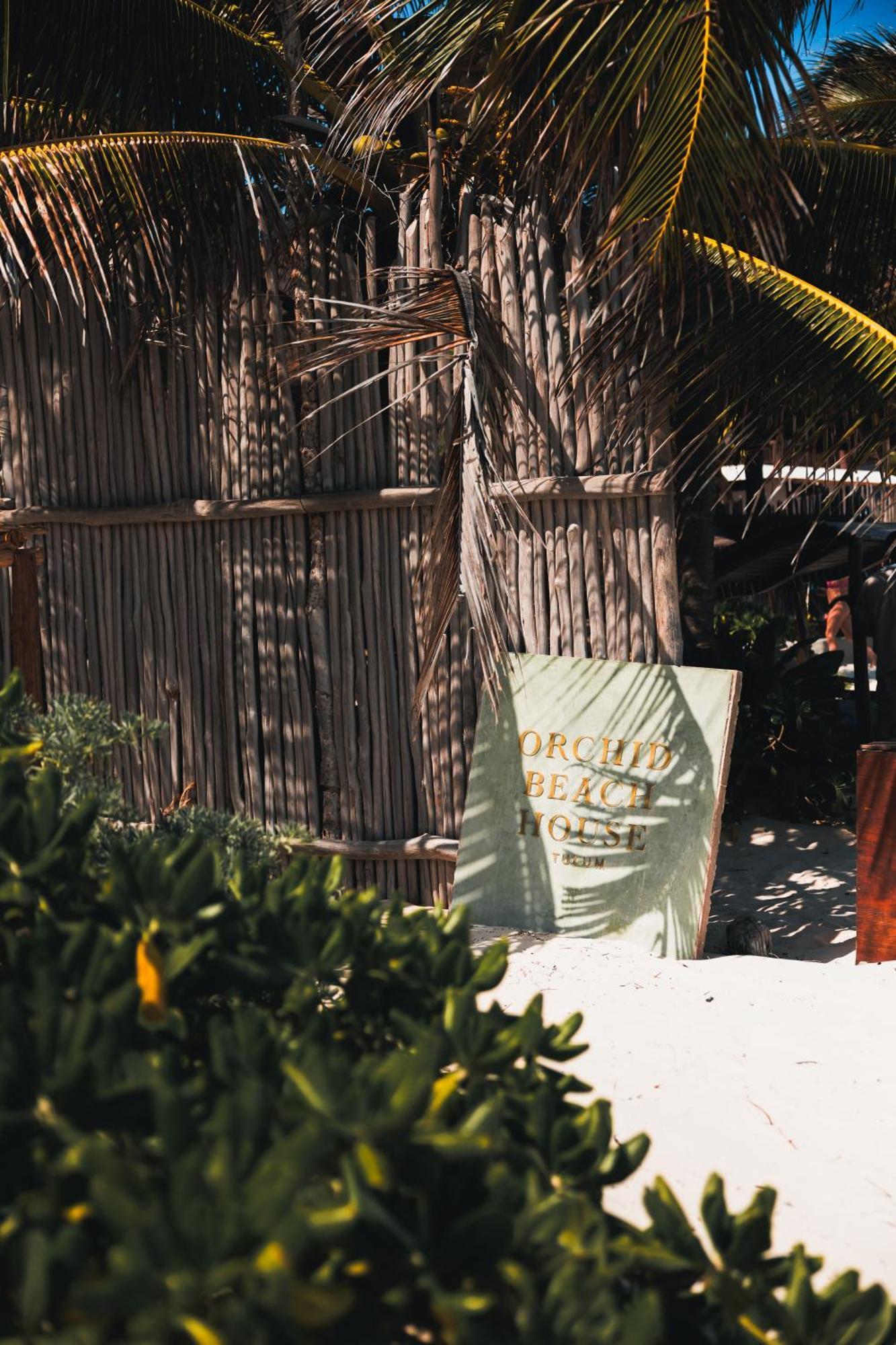 Orchid House Tulum Beach (Adults Only) Dış mekan fotoğraf