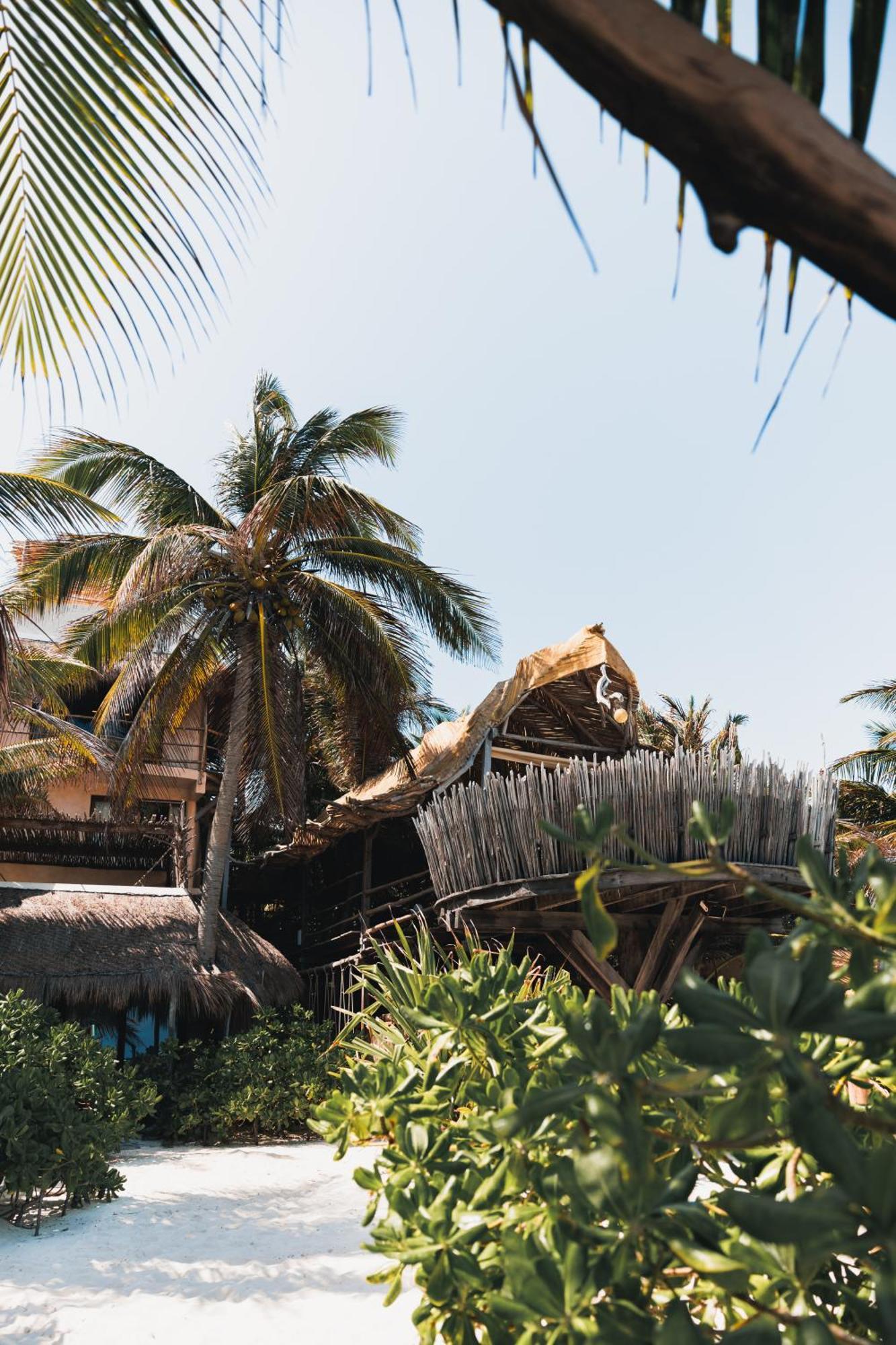 Orchid House Tulum Beach (Adults Only) Dış mekan fotoğraf